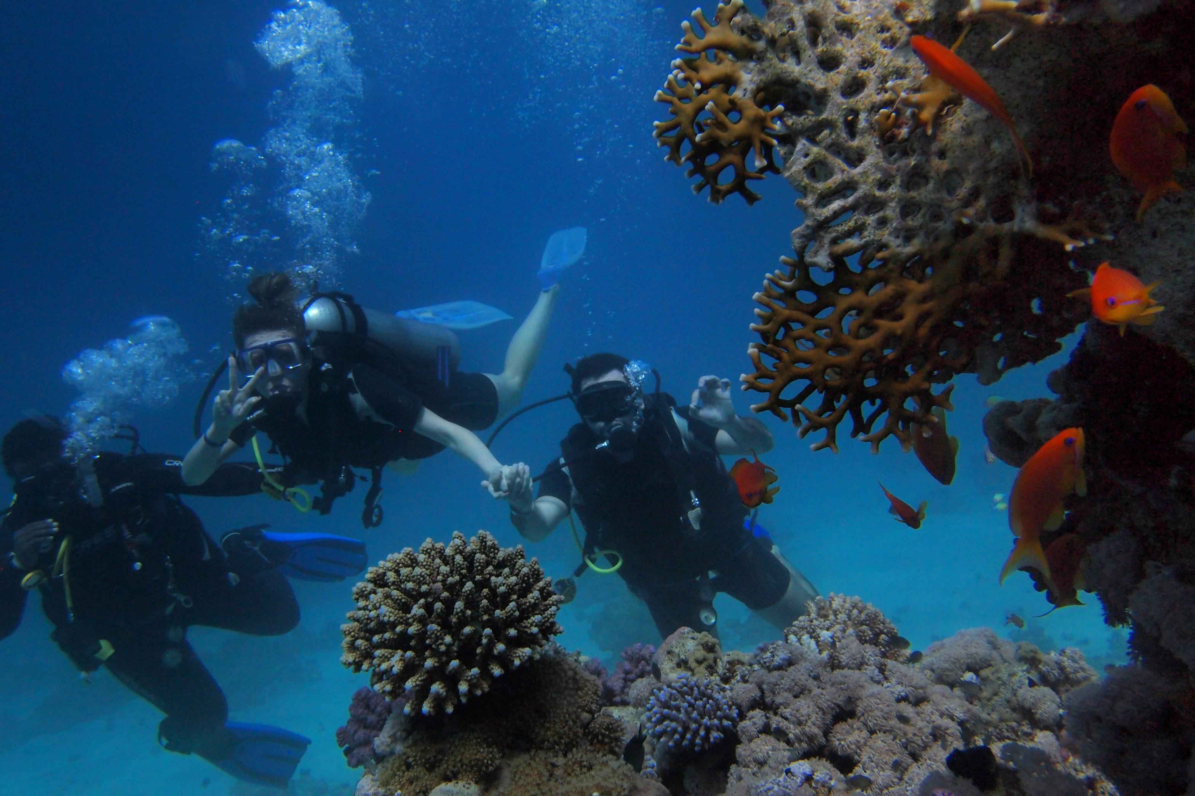 Sharm El Sheikh Egypt Travel Destination