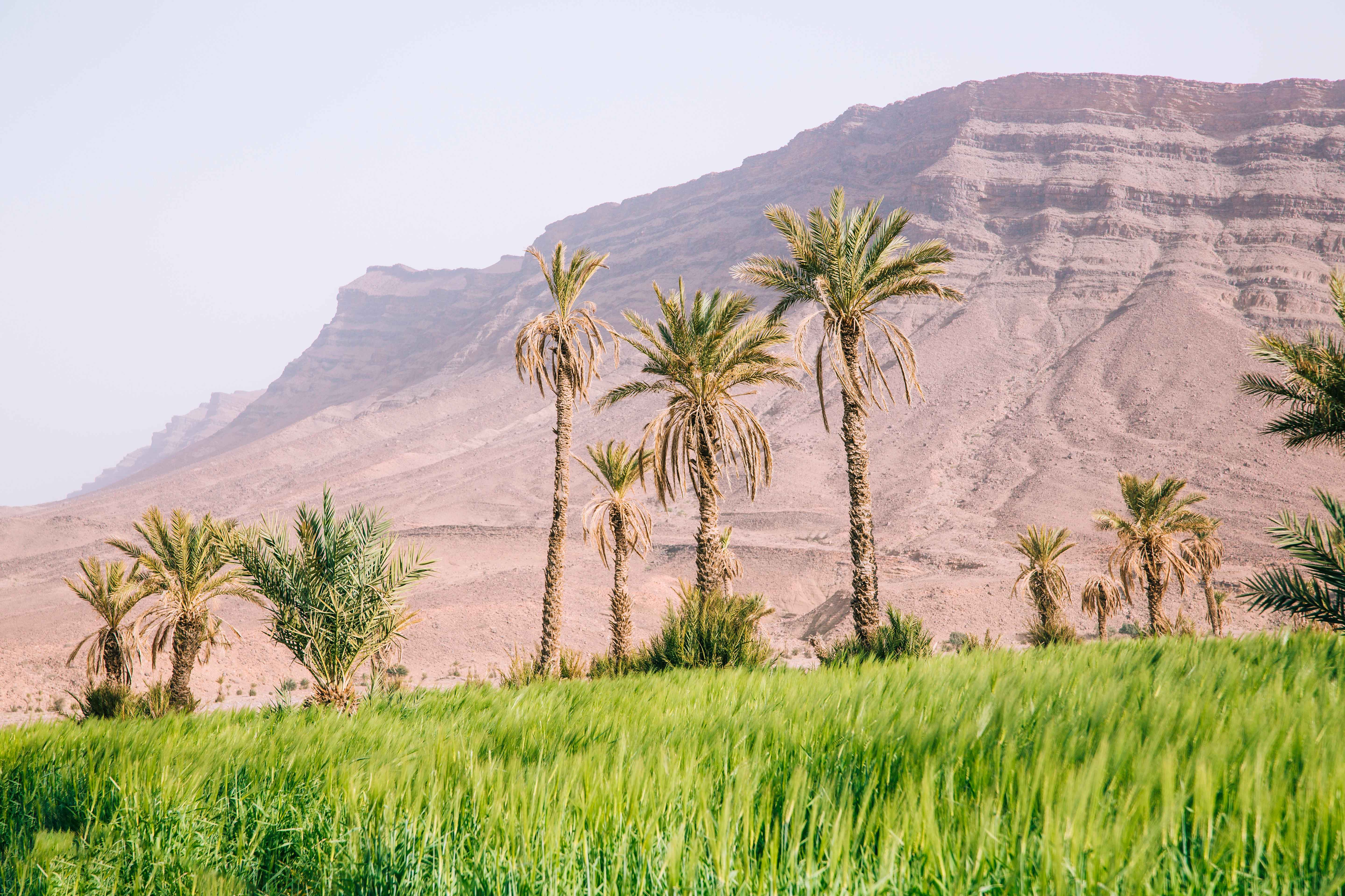 Siwa Oasis Egypt Travel Destination