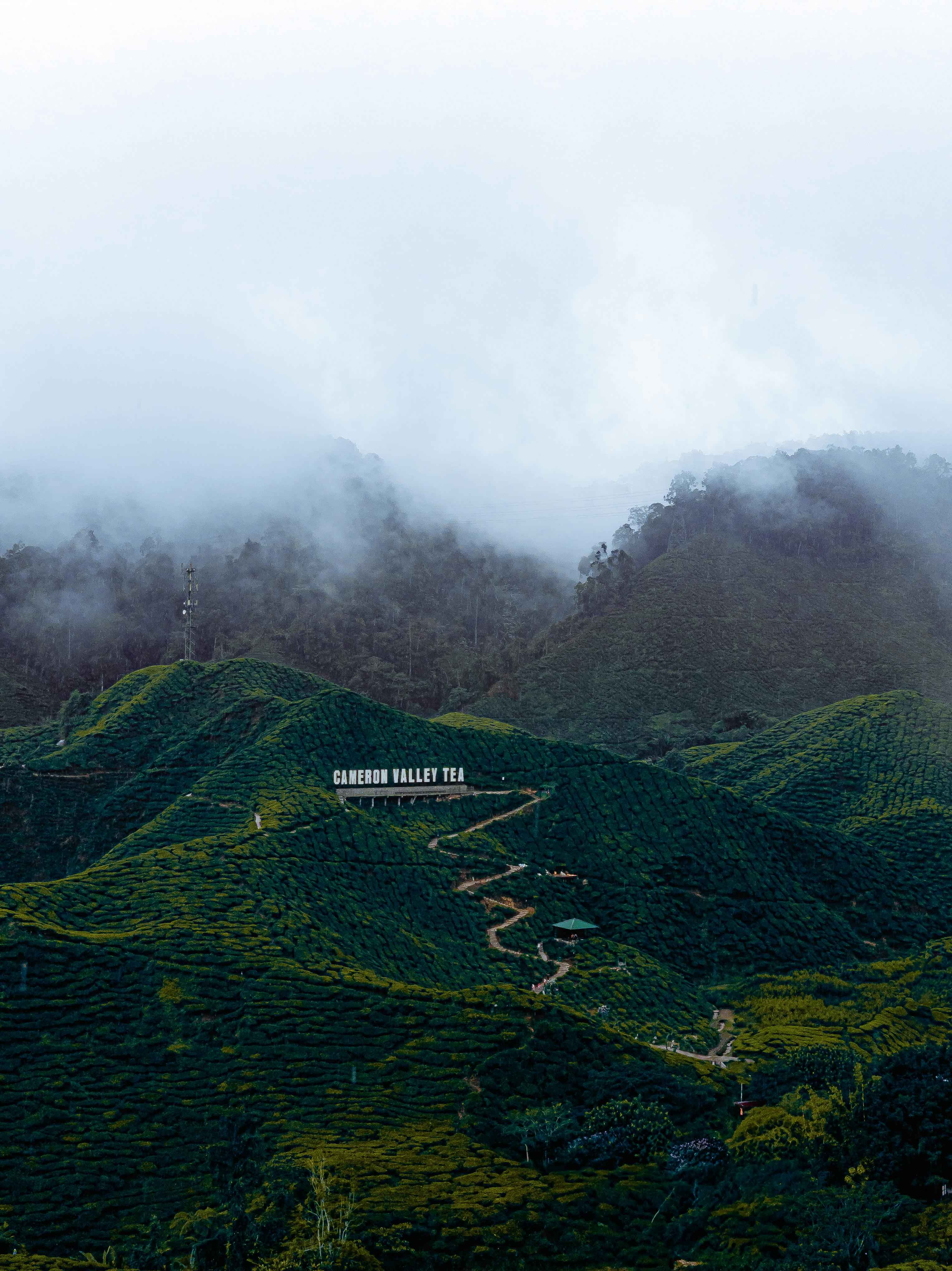 Cameron Highlands Malaysia