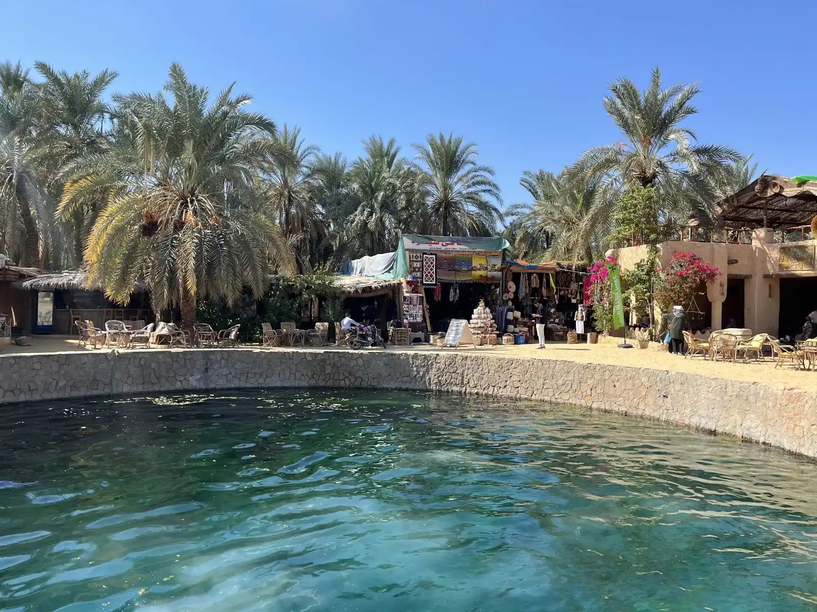 Cleopatra Spring Siwa Oasis
