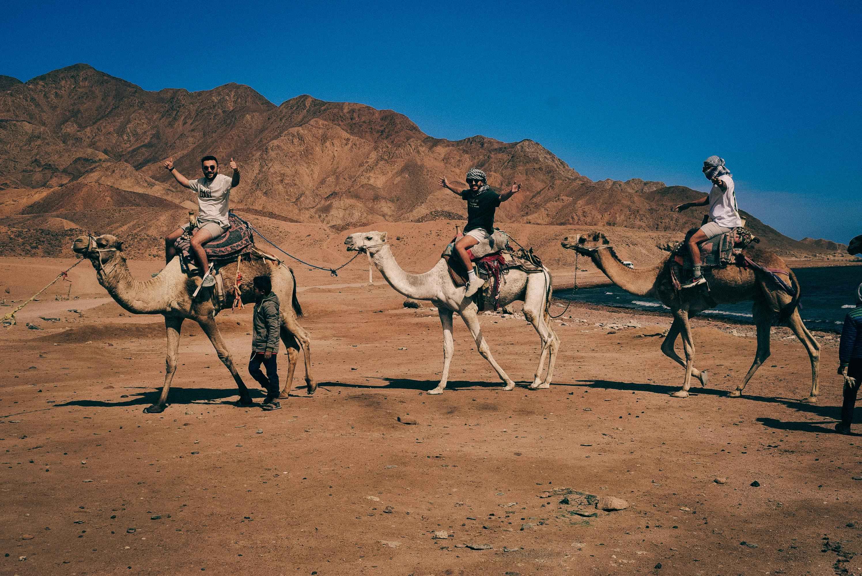Cairo, Sharm & Dahab 4