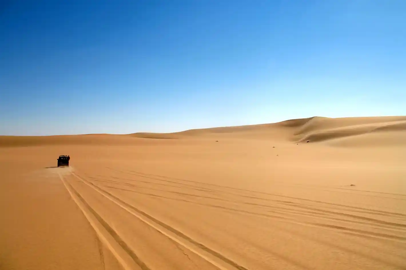 Great Sand Sea Siwa Desert Safari