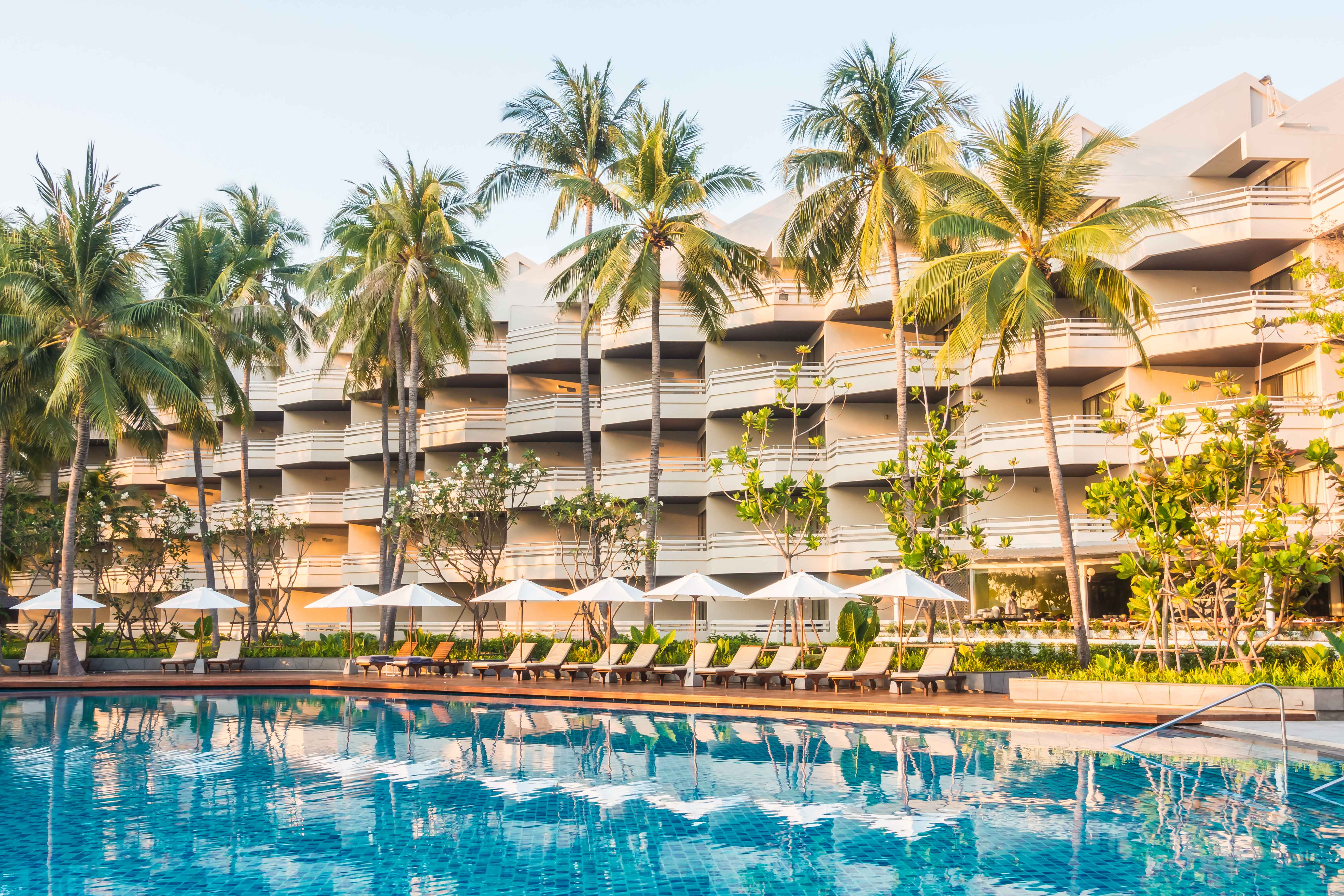Discover Hotels & Resorts with Lotus Travel