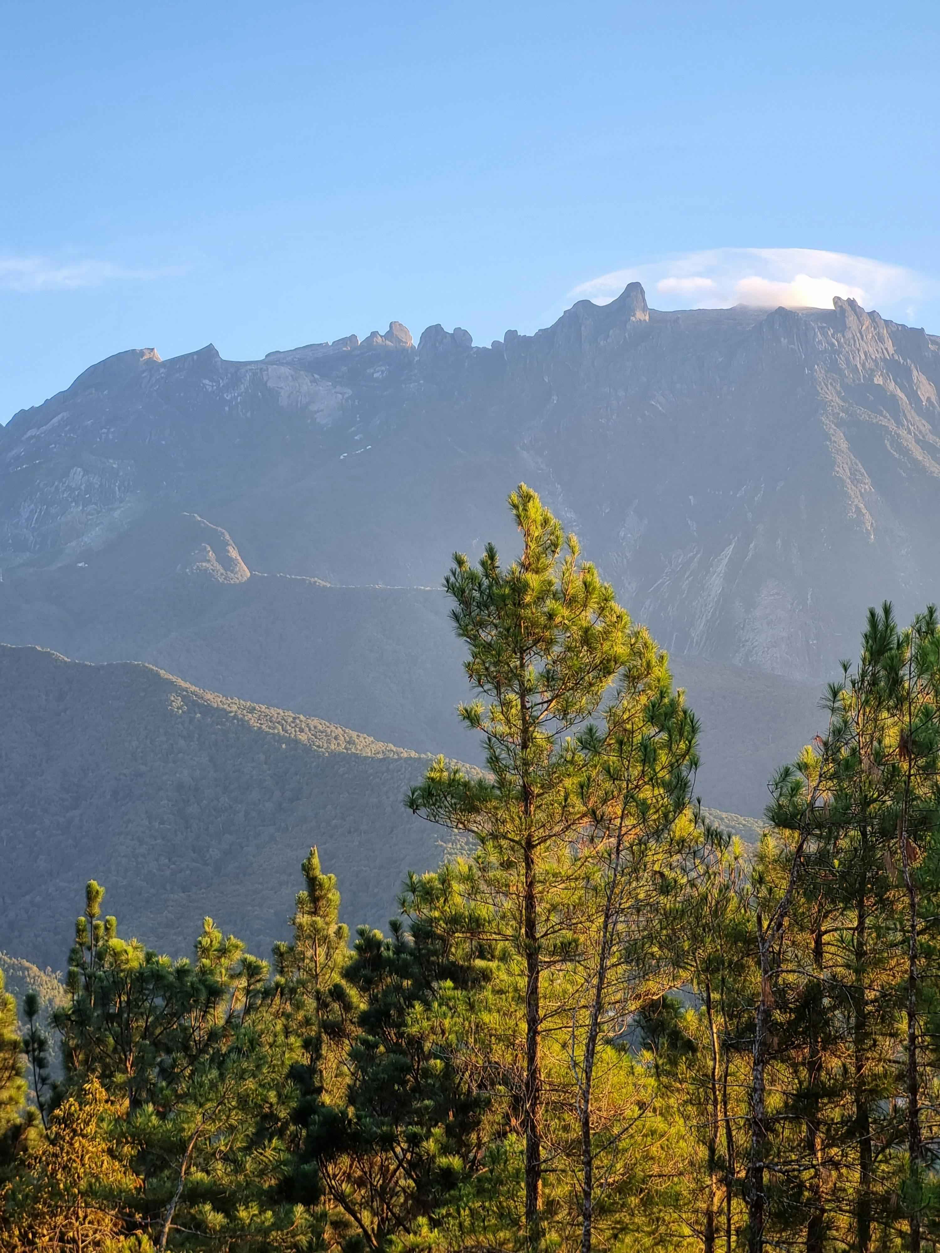 Kinabalu Park Malaysia