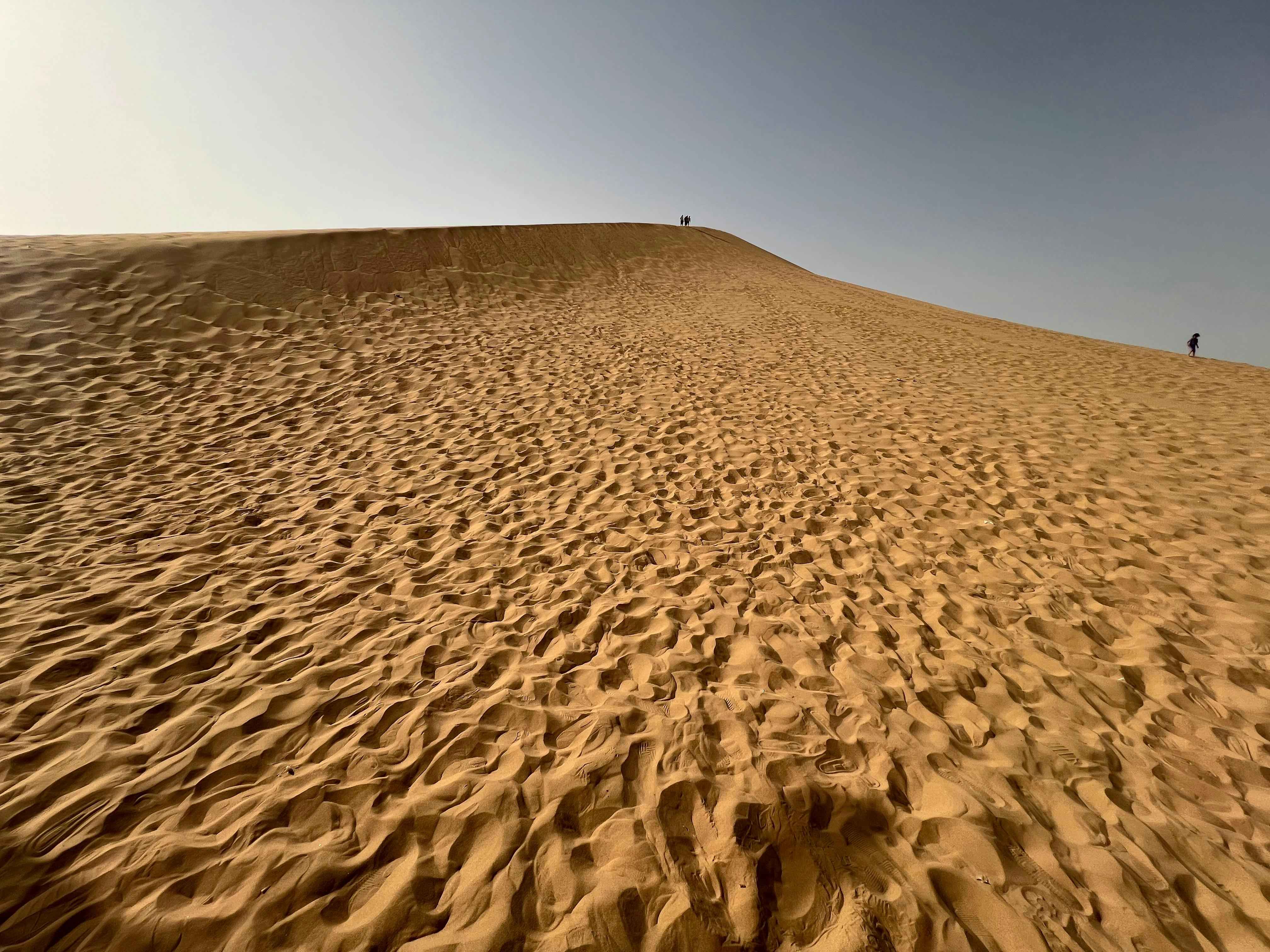 Saudi Desert Adventure